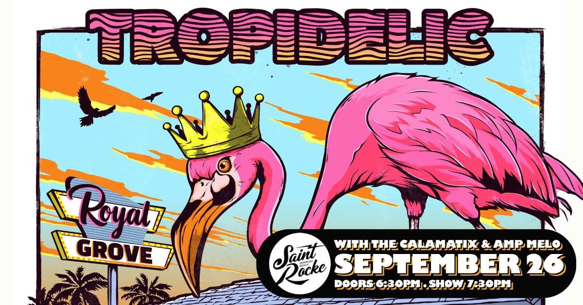 Tropidelic w/ The Calamatix & Amp Melo